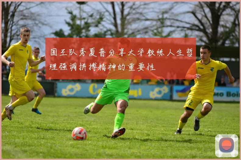 国王队秀夏普分享大学教练人生哲理强调拼搏精神的重要性