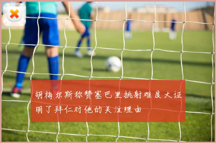 胡梅尔斯称赞塞巴里挑射难度大证明了拜仁对他的关注理由
